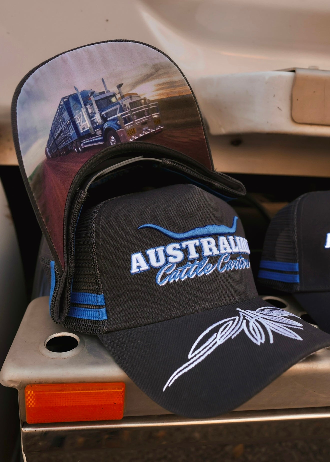 Six Decks To Darwin Trucker Cap