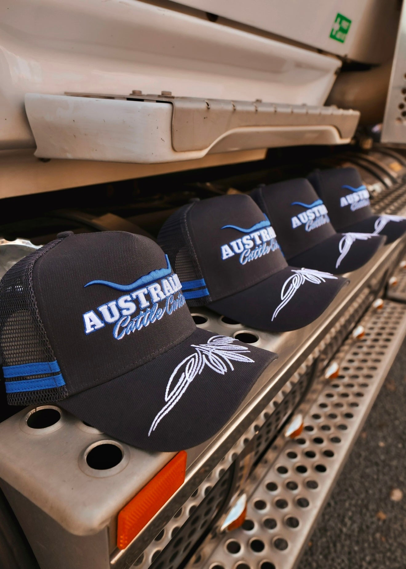 Six Decks To Darwin Trucker Cap