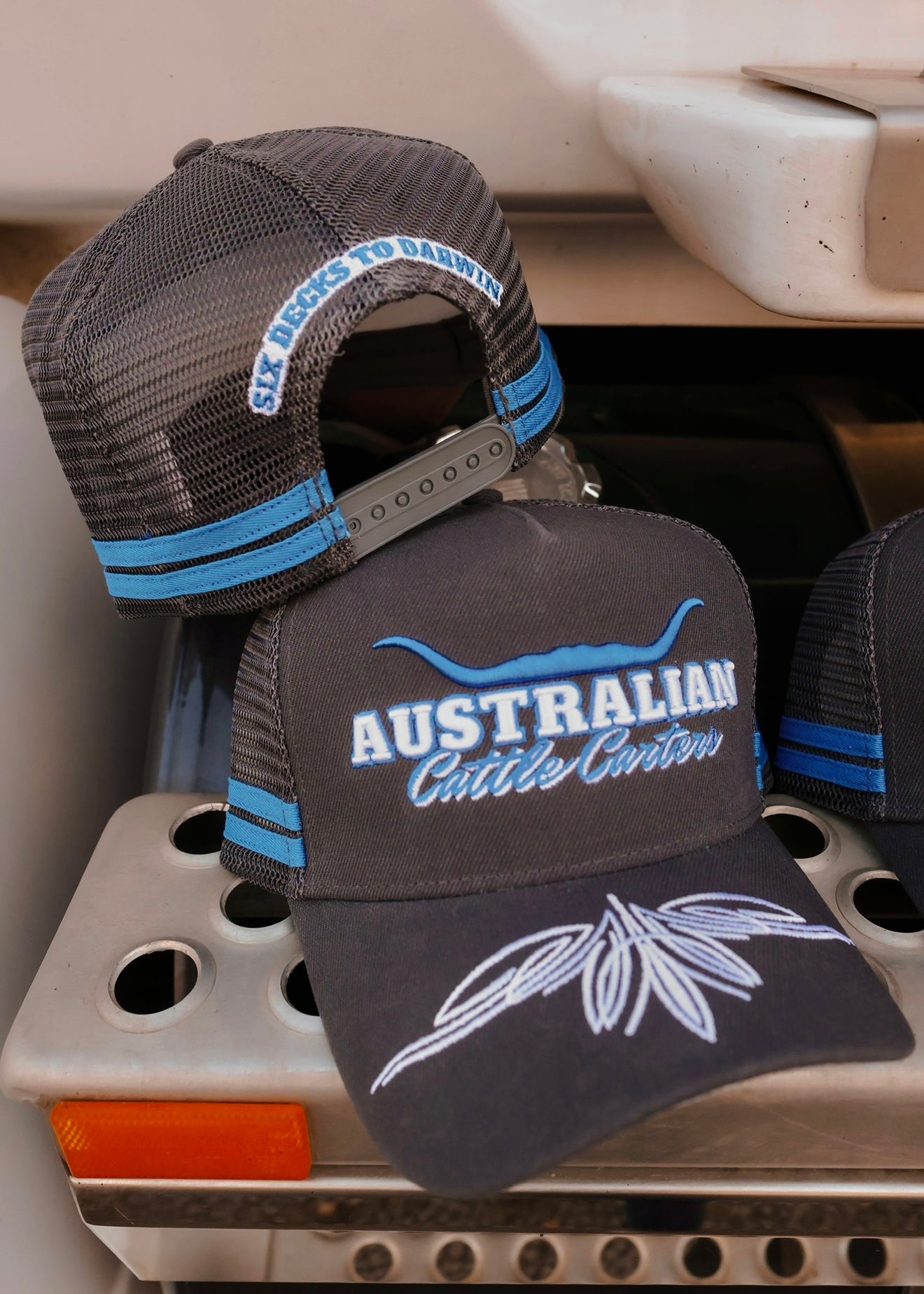 Six Decks To Darwin Trucker Cap