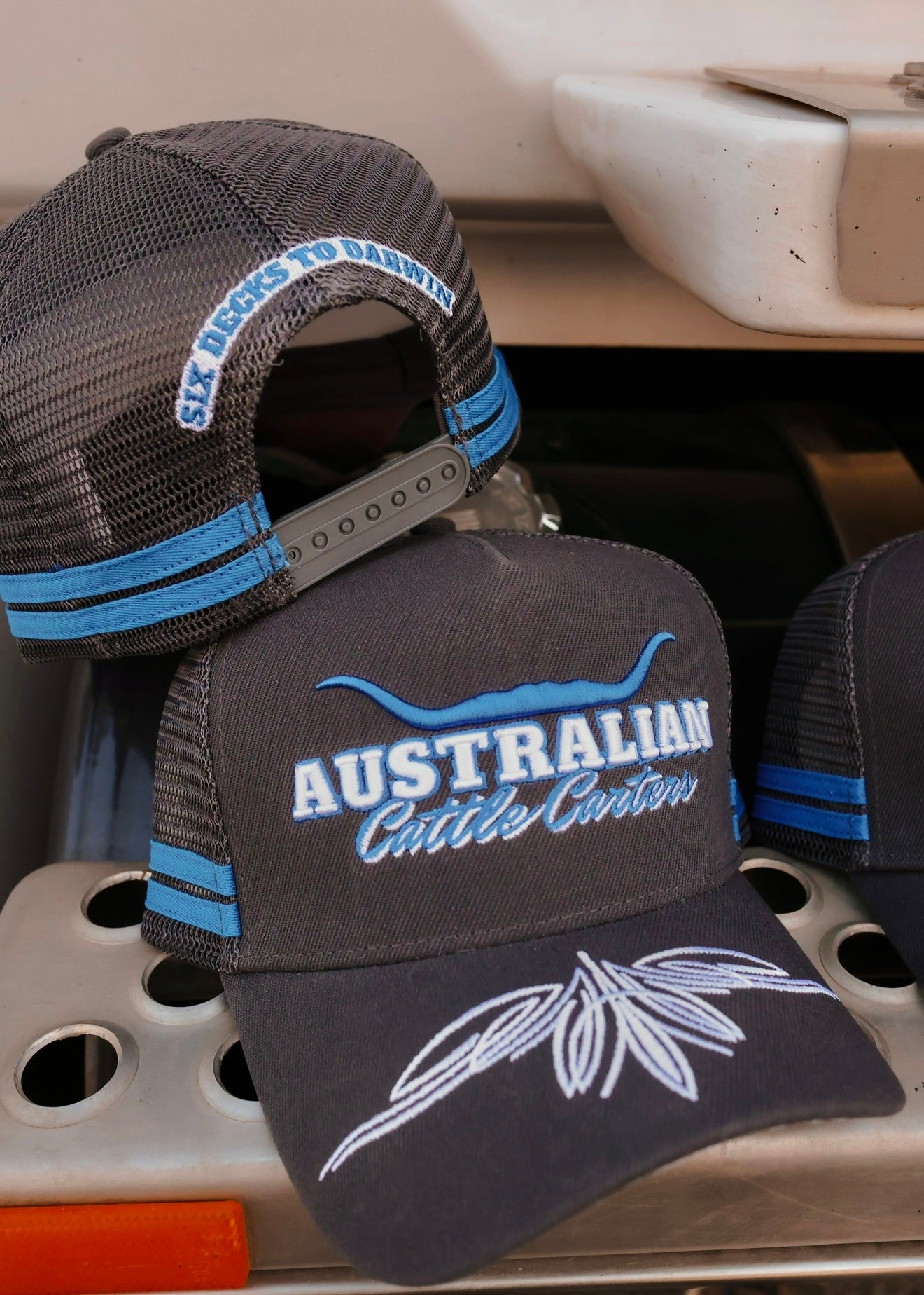 Six Decks To Darwin Trucker Cap
