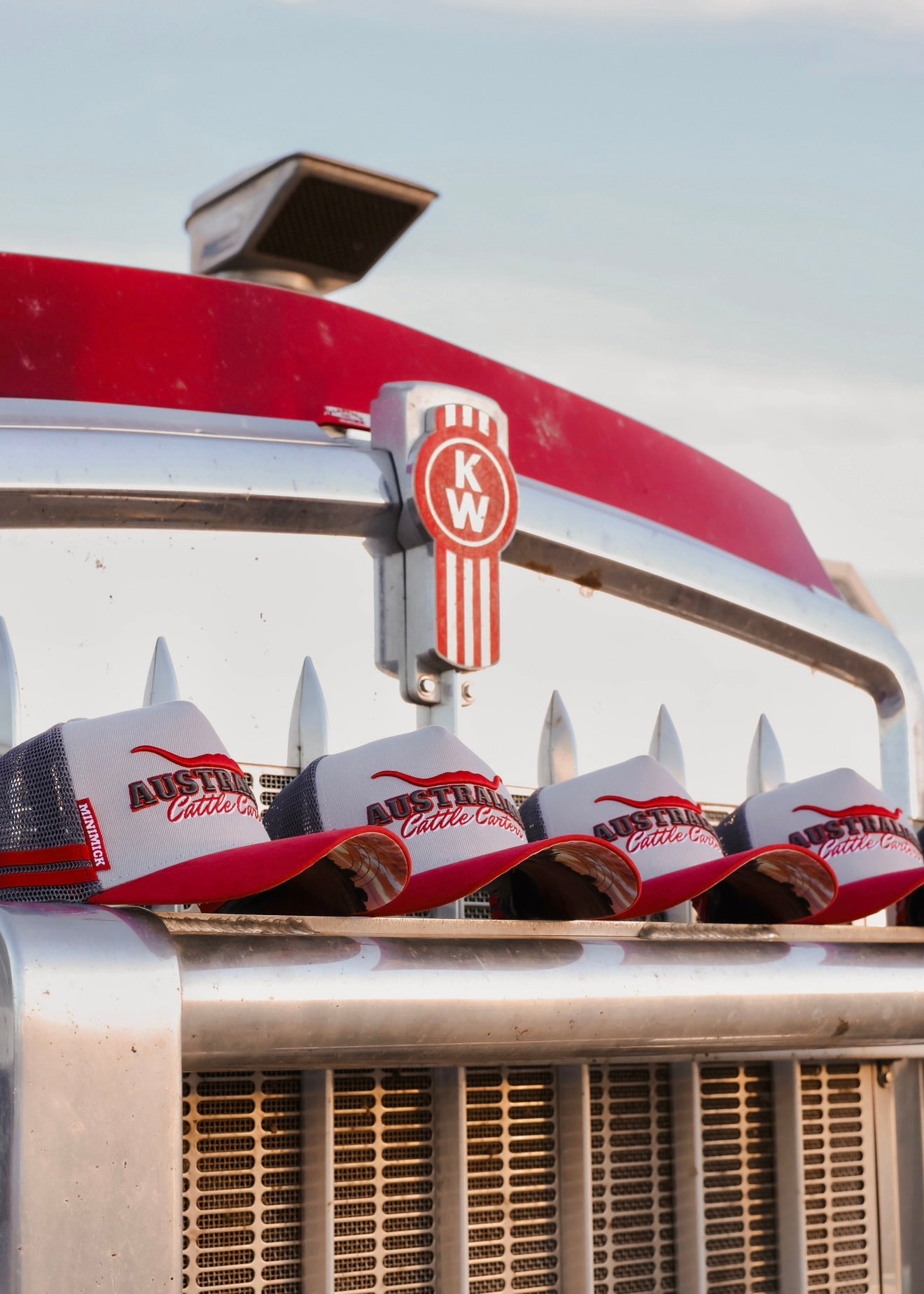 This One’s For Mini Mick Trucker Cap